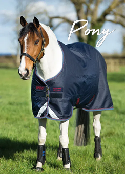 Pony Blankets