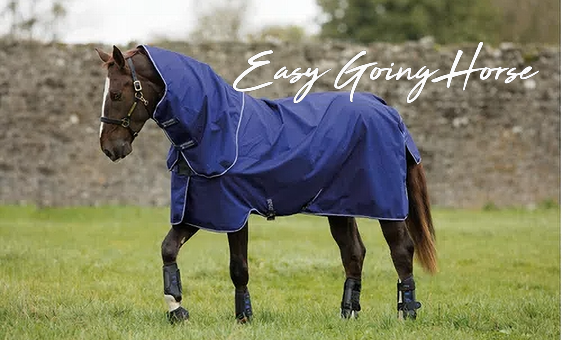 Blankets for the Easy Going Horse